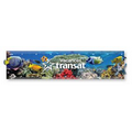 Lenticular Ruler .040 (2" x 8.25") Full Color Custom 3D Imprint on front Black imprint on back